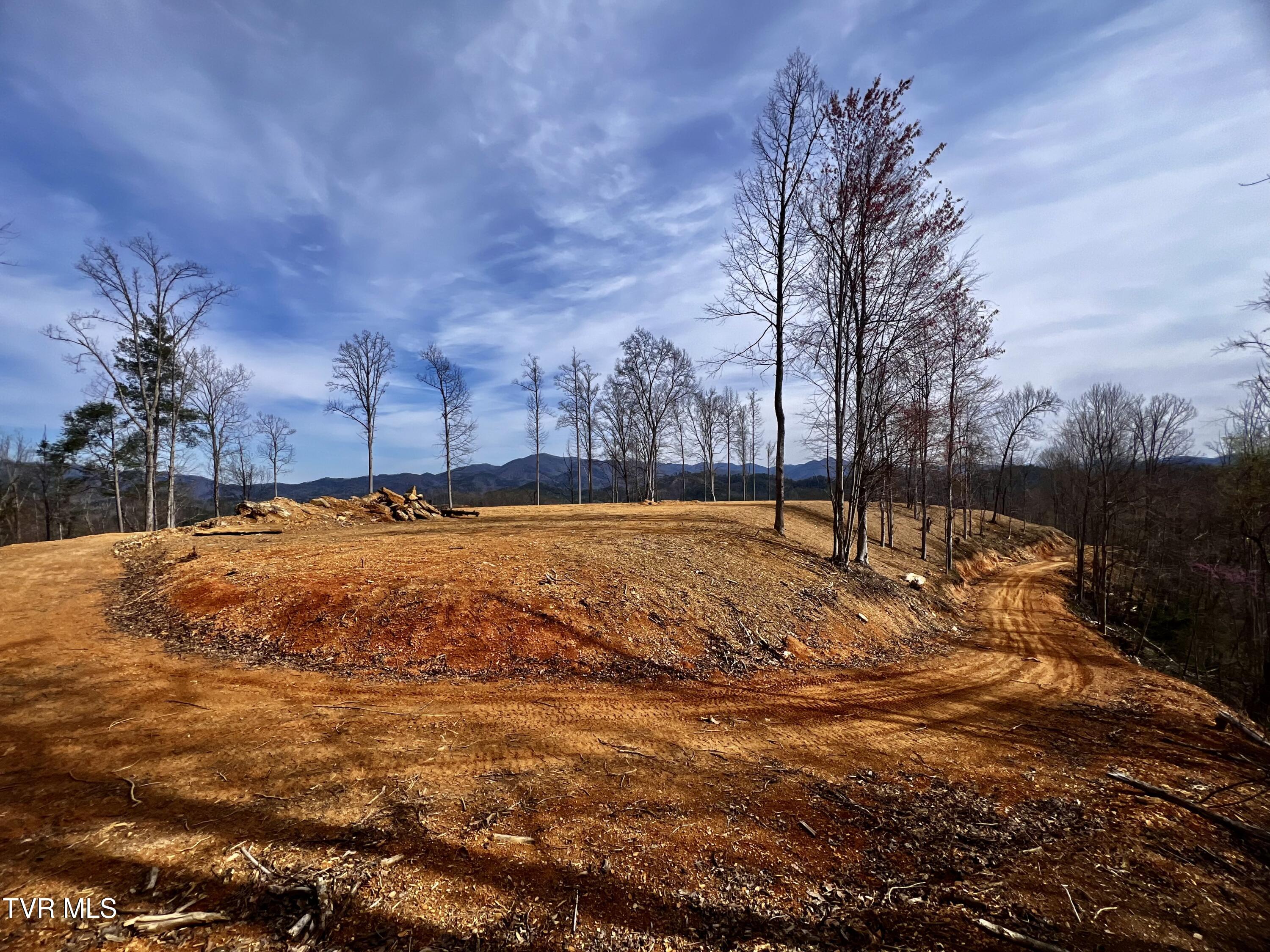 538 Punkton Road Del Rio, TN 37727 - Photo 66 of 92 _Pic80 (3)