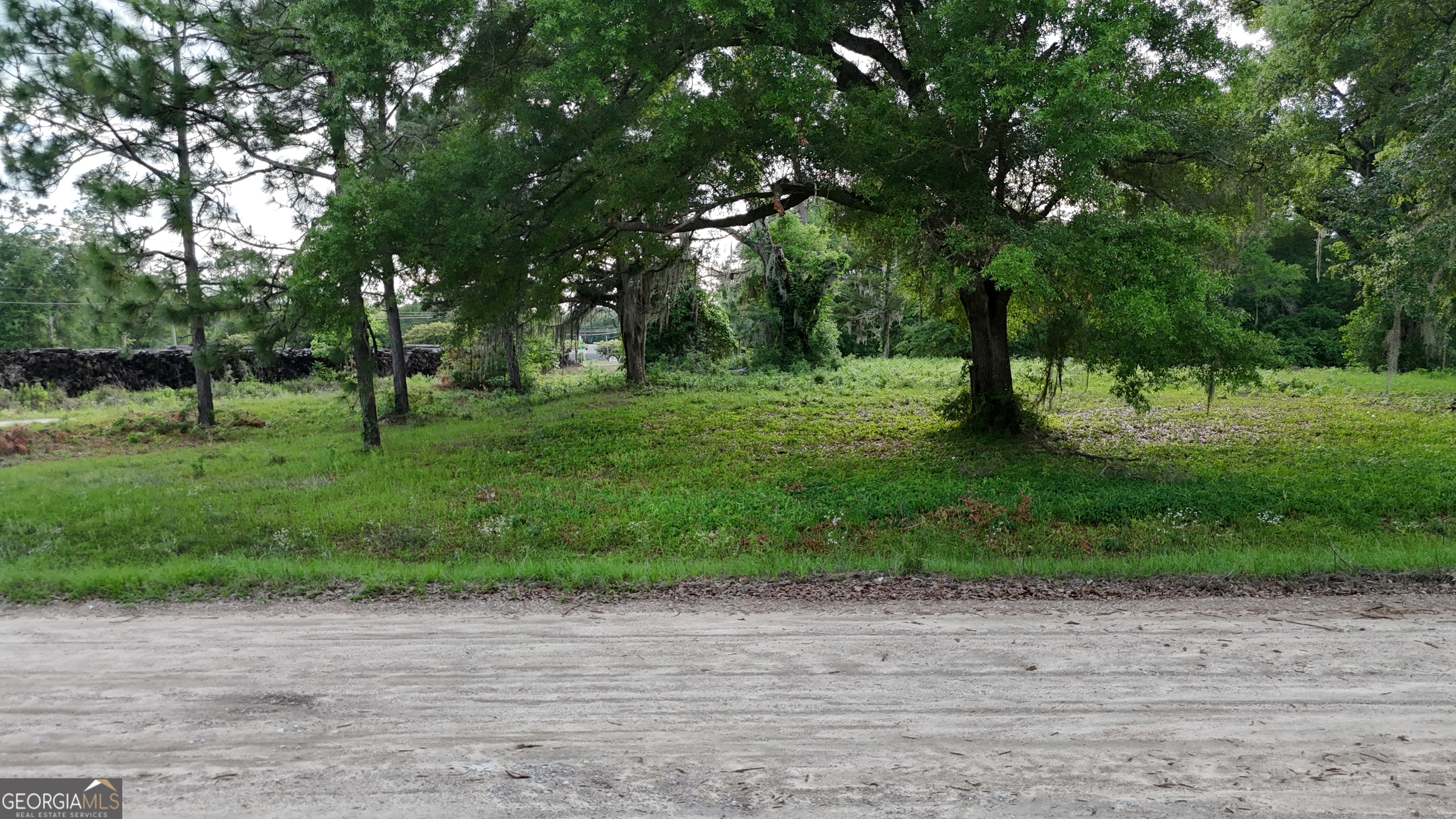 75-acre Butler Street Bainbridge, GA 39817 - Photo 8 of 13