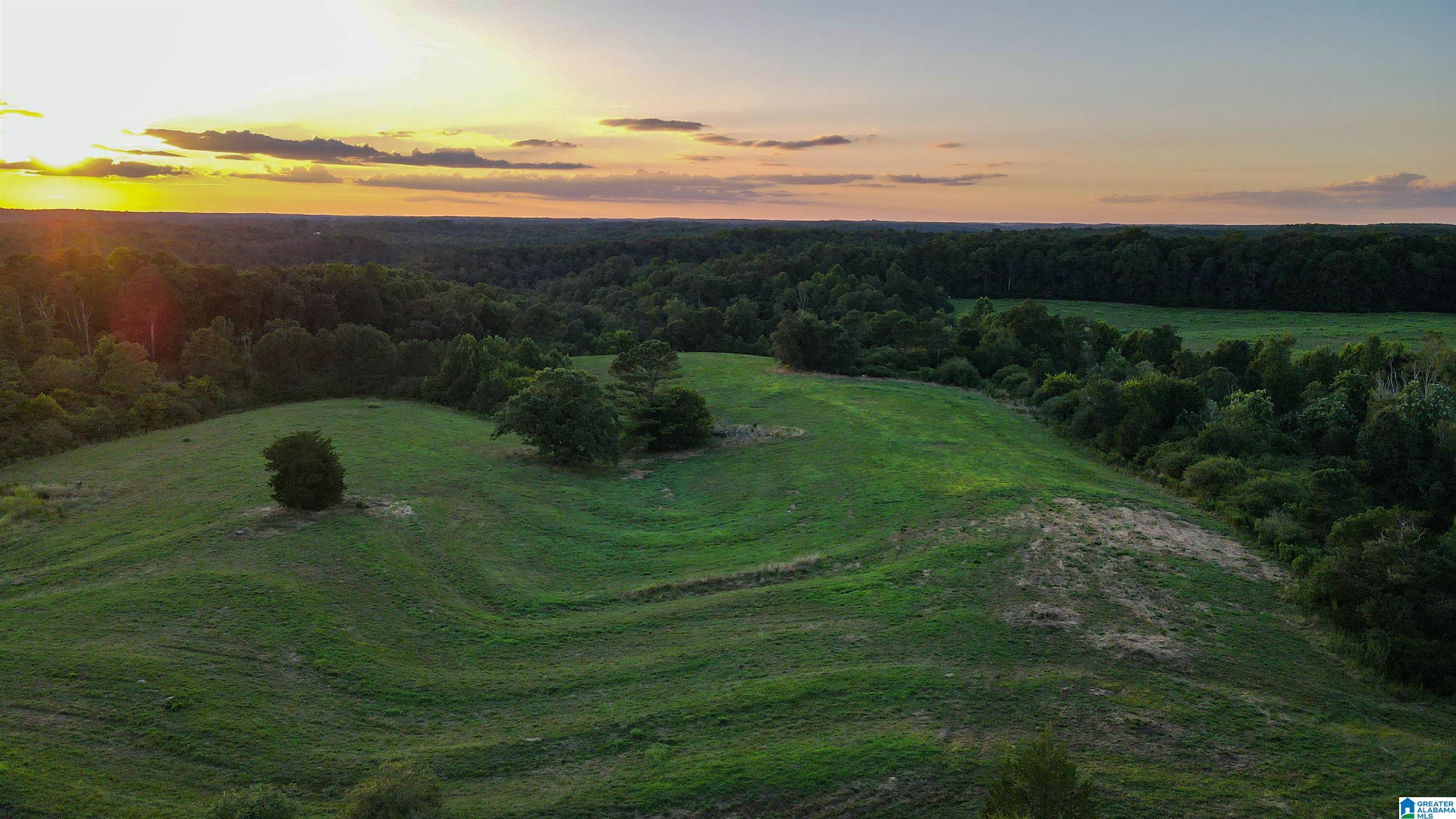 3597 Sardis-Airport Road Addison, AL 35540 - Photo 43 of 65