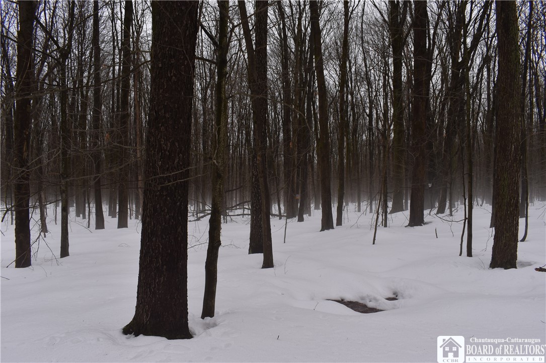 Harris Hill Road Gerry, NY 14740 - Photo 11 of 20