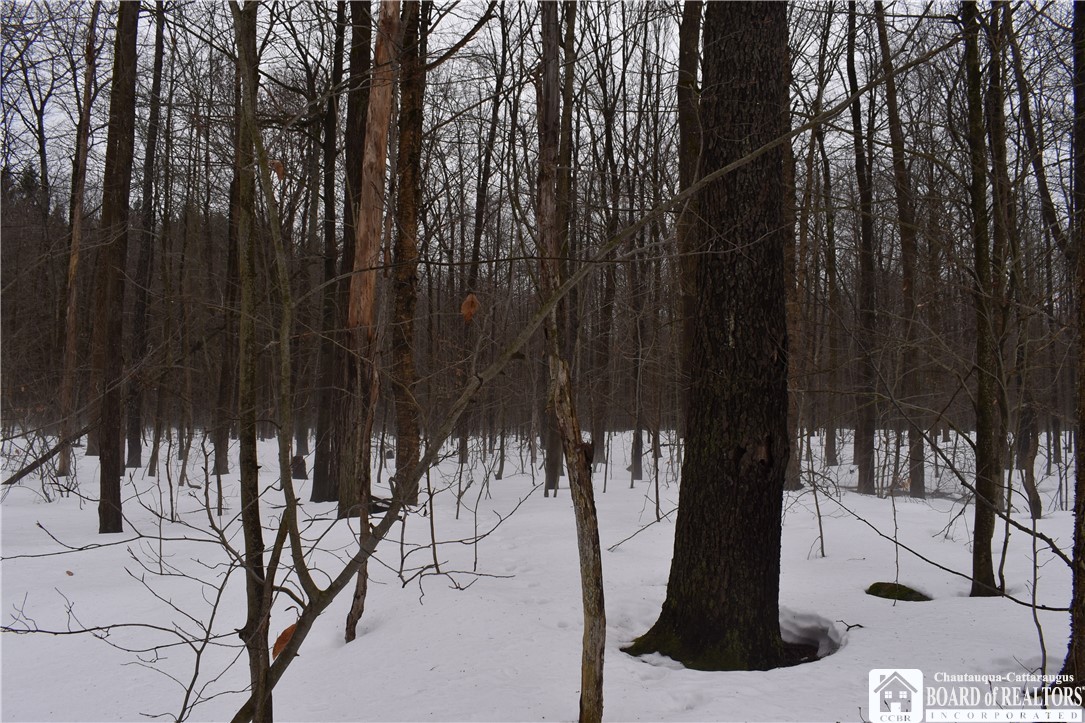 Harris Hill Road Gerry, NY 14740 - Photo 12 of 20