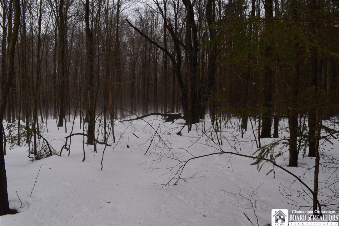 Harris Hill Road Gerry, NY 14740 - Photo 13 of 20