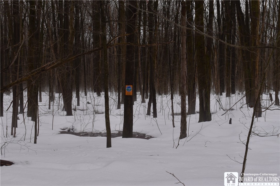 Harris Hill Road Gerry, NY 14740 - Photo 14 of 20