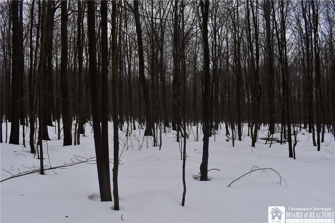 Harris Hill Road Gerry, NY 14740 - Photo 15 of 20