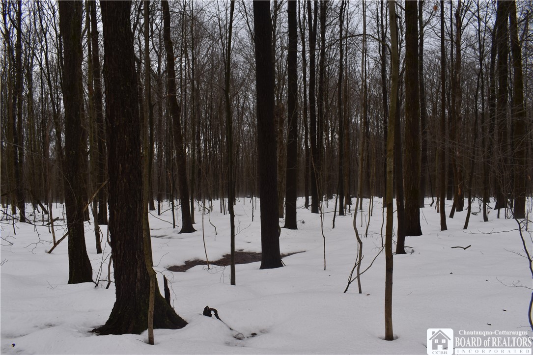 Harris Hill Road Gerry, NY 14740 - Photo 16 of 20