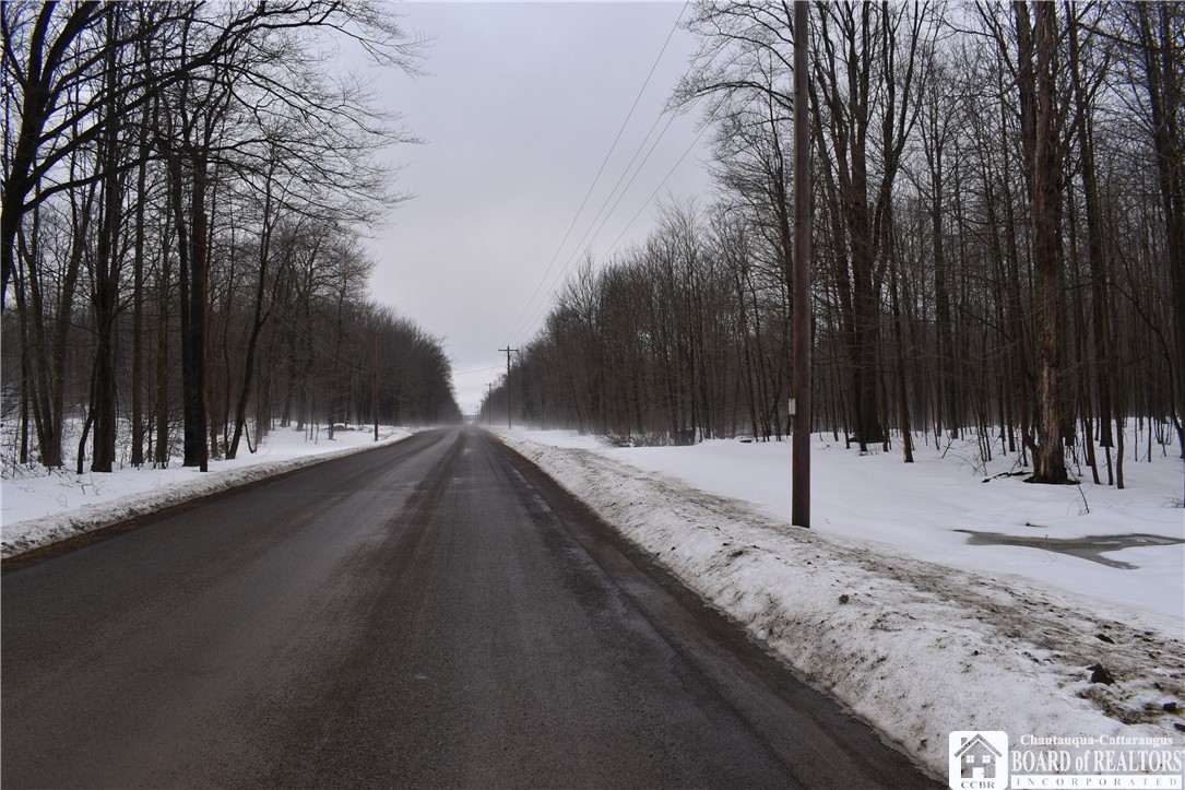 Harris Hill Road Gerry, NY 14740 - Photo 17 of 20