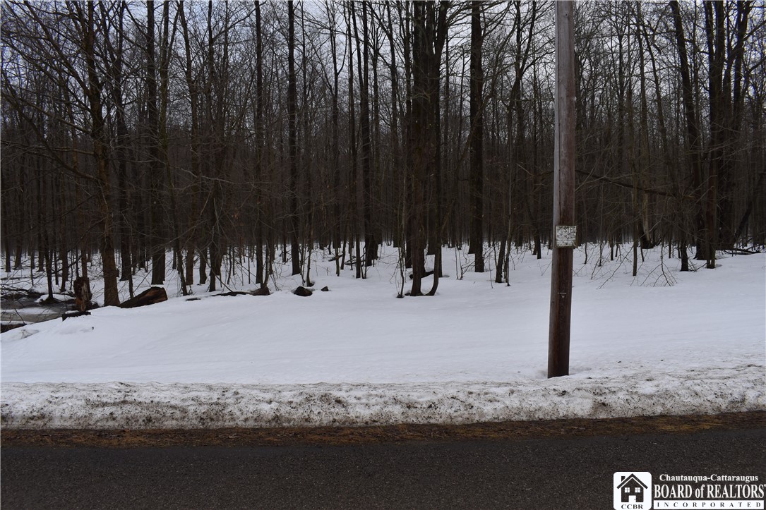 Harris Hill Road Gerry, NY 14740 - Photo 18 of 20