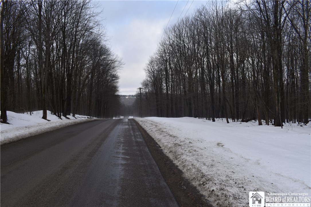 Harris Hill Road Gerry, NY 14740 - Photo 20 of 20