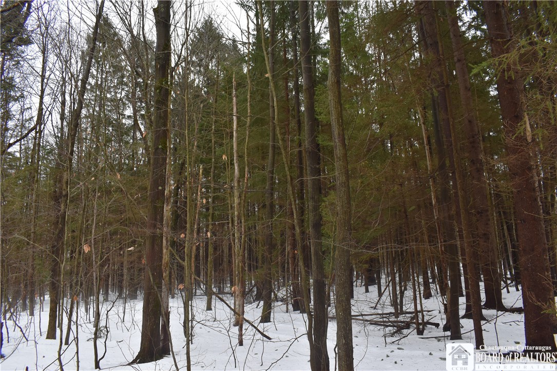 Harris Hill Road Gerry, NY 14740 - Photo 2 of 20