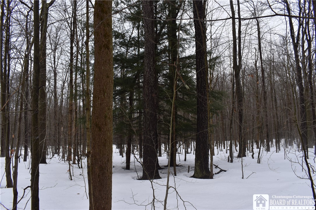 Harris Hill Road Gerry, NY 14740 - Photo 3 of 20