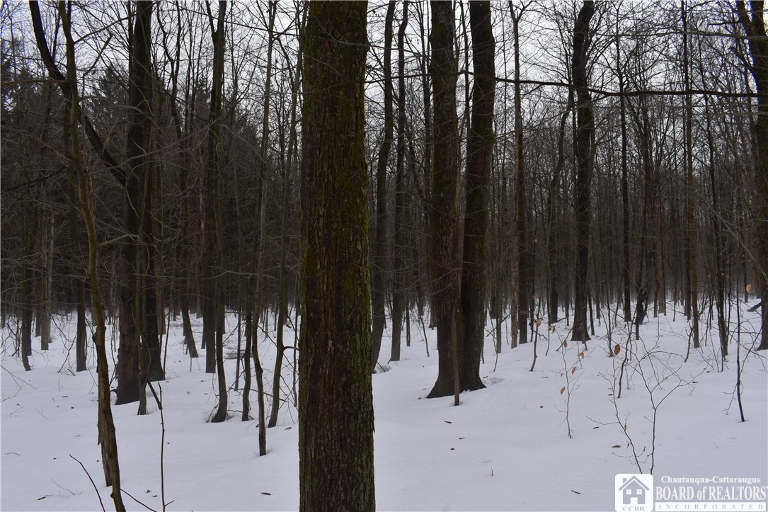 Harris Hill Road Gerry, NY 14740 - Photo 4 of 20