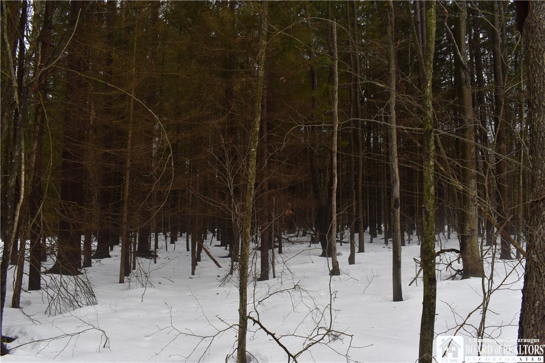 Harris Hill Road Gerry, NY 14740 - Photo 5 of 20