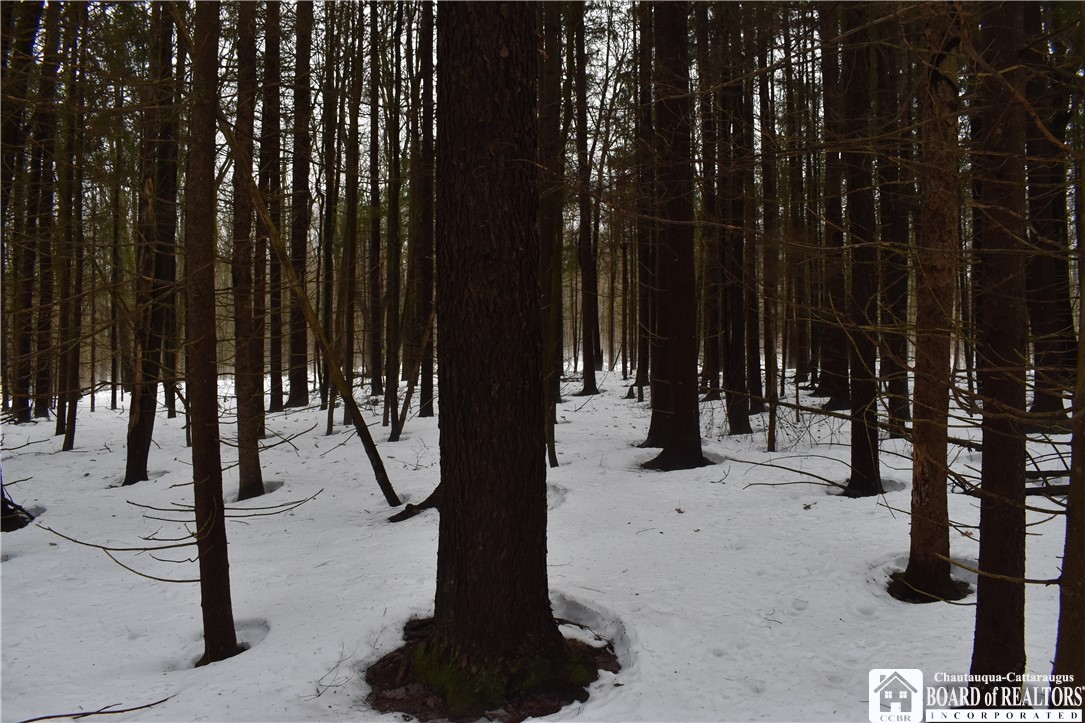 Harris Hill Road Gerry, NY 14740 - Photo 6 of 20