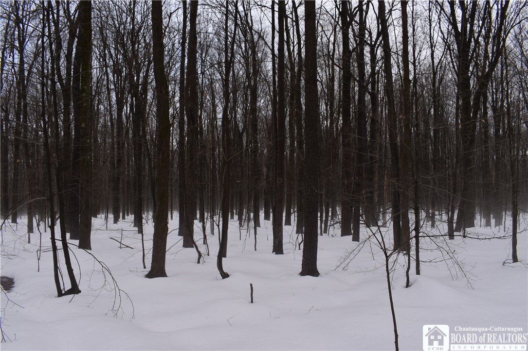 Harris Hill Road Gerry, NY 14740 - Photo 10 of 20