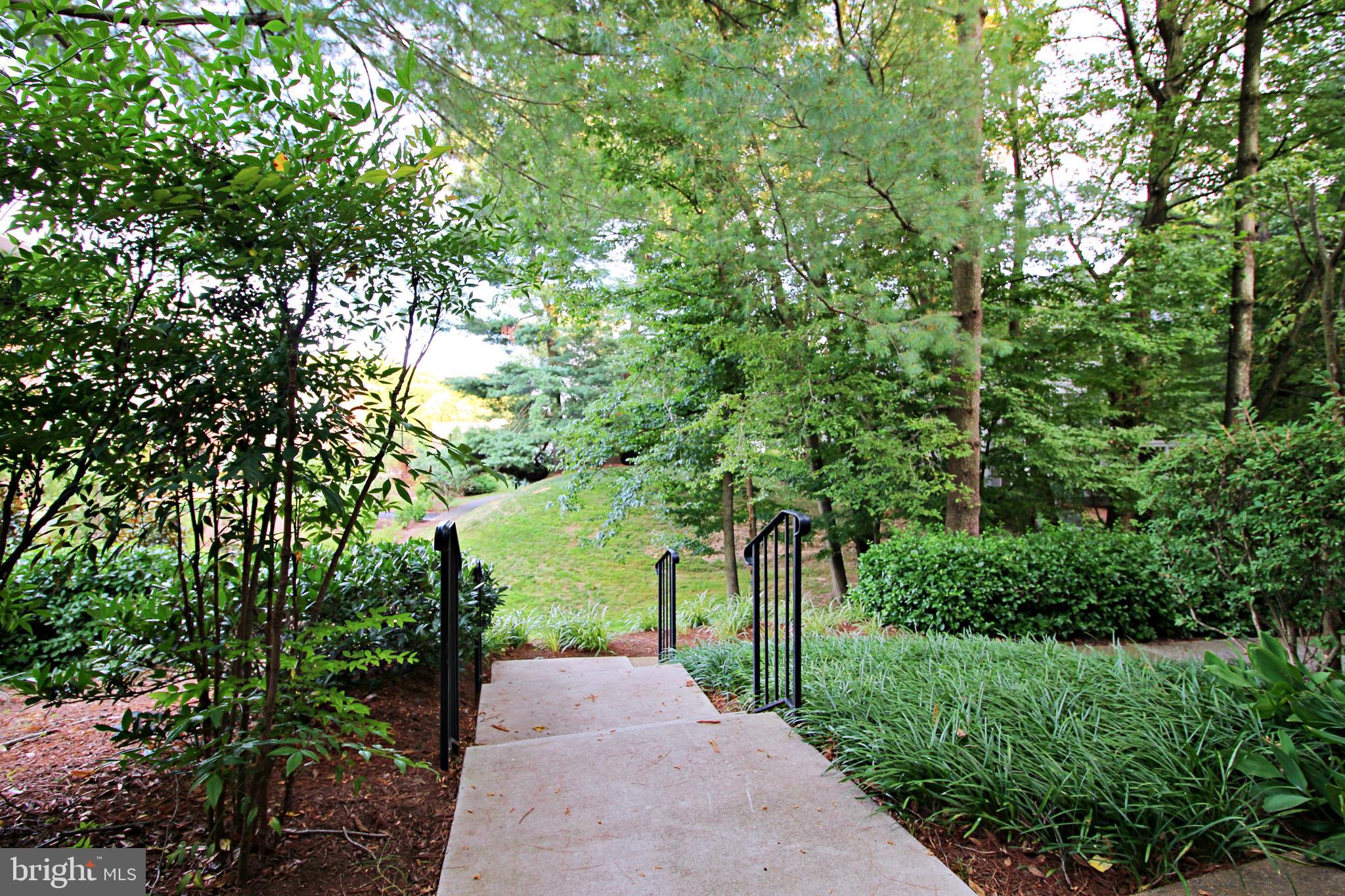 2233 Hunter's Run Drive Reston, VA 20191 - Photo 47 of 50 a view of a garden with trees