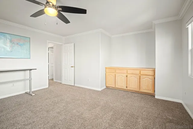 a view of a backyard with plants and palm tree