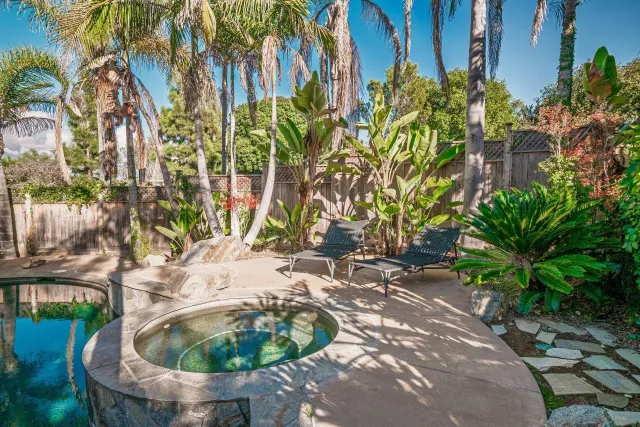 a view of a garden with plants