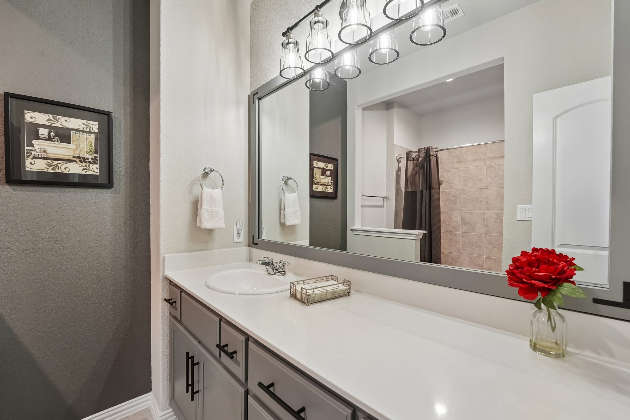 2424 Costera Street Leander, TX 78641 - Photo 20 of 39