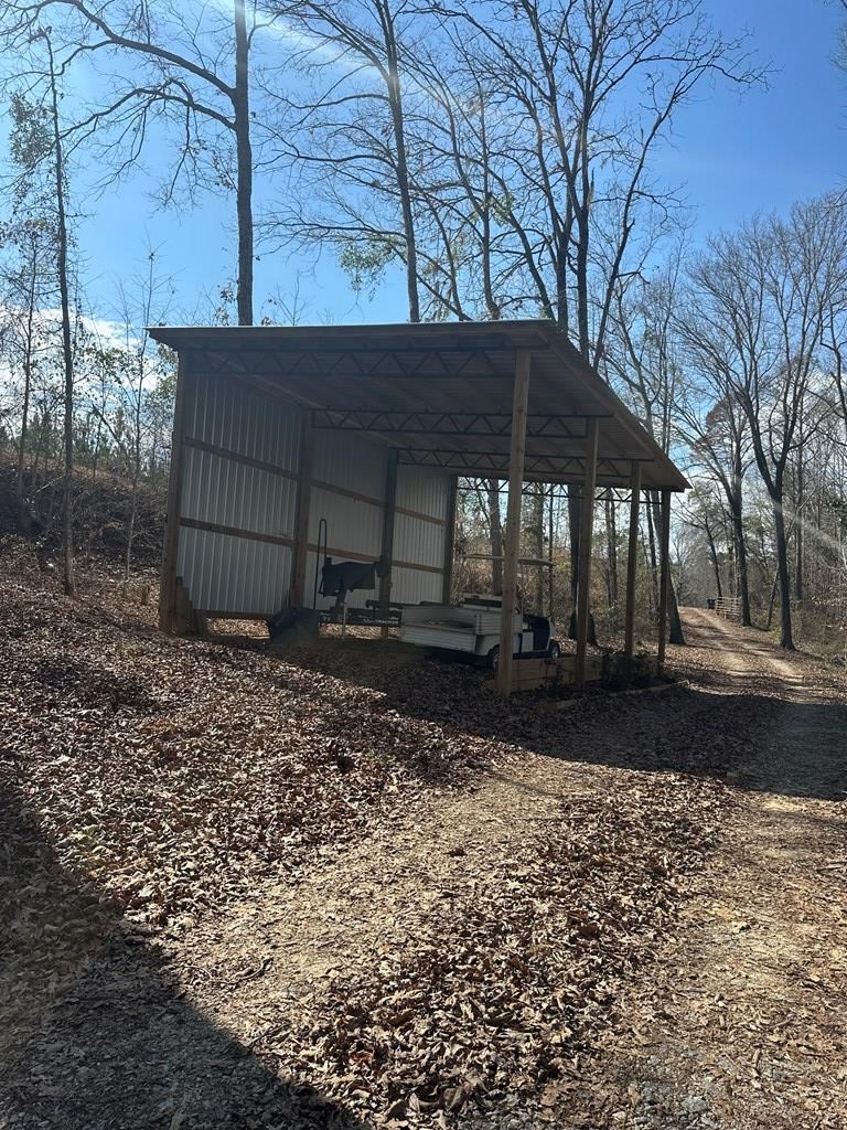 2422 County Road 97 Abbeville, AL 36310 - Photo 36 of 50