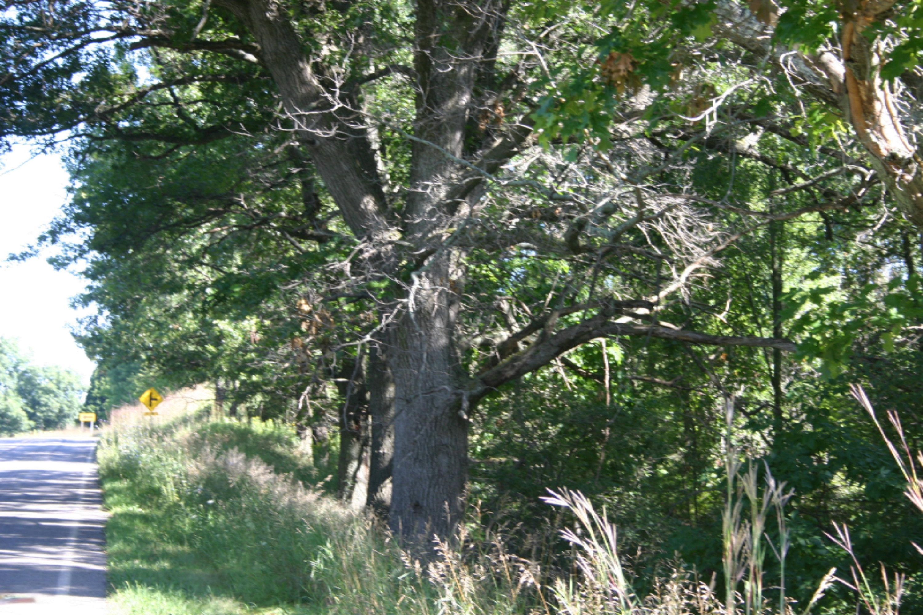 Kellogg School Road Delton, MI 49046 - Photo 1 of 5 IMG_3458