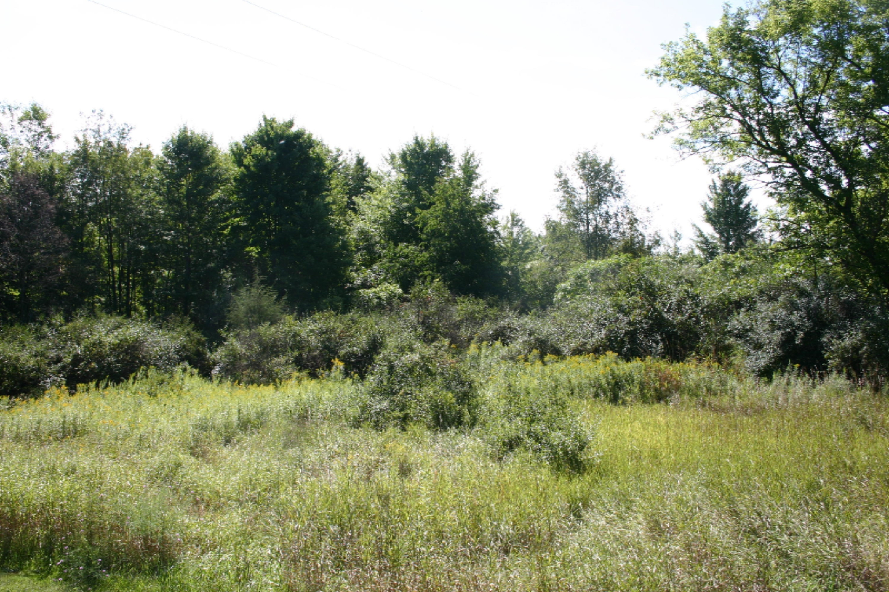 Kellogg School Road Delton, MI 49046 - Photo 5 of 5 IMG_3462