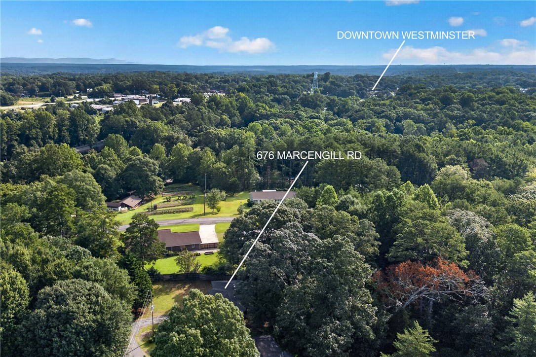 676 Marcengill Road Westminster, SC 29693 - Photo 29 of 32 Lush woodlands envelope the property and offer beautiful views stretching toward the horizon.