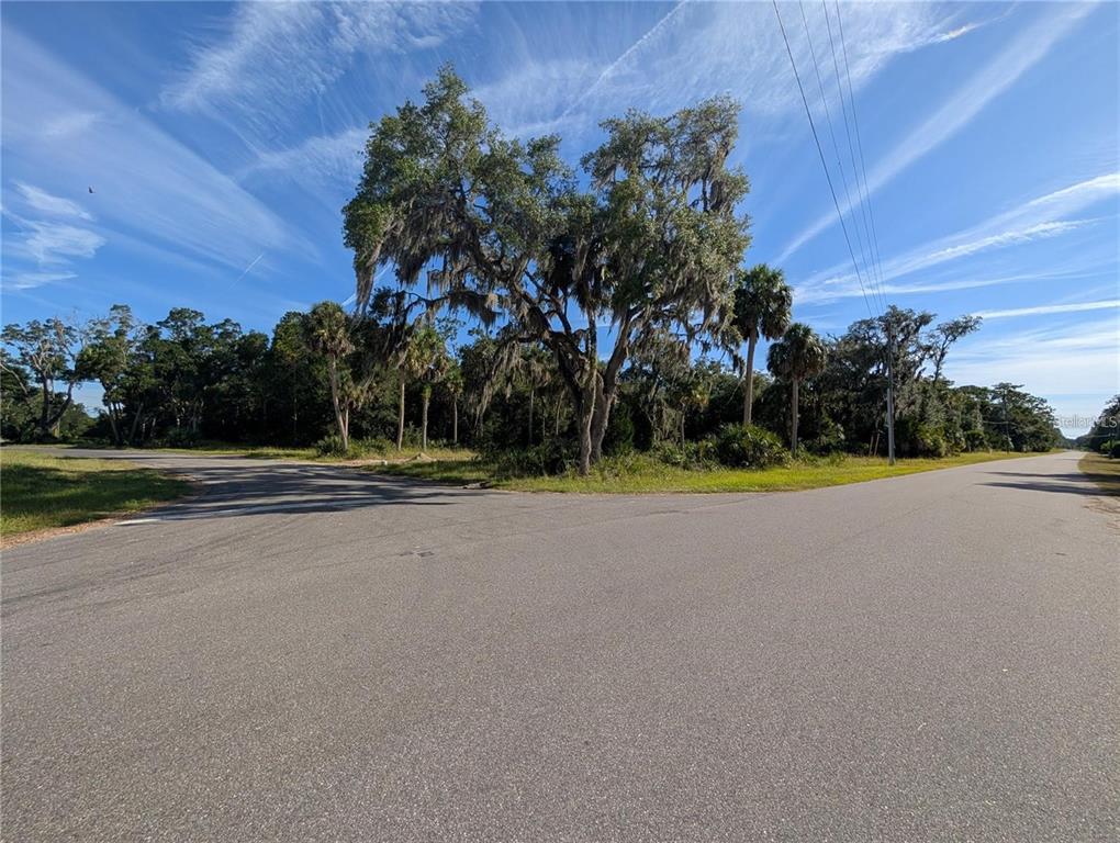 11009 North Withla Bluff Point Inglis, FL 34449 - Photo 9 of 14