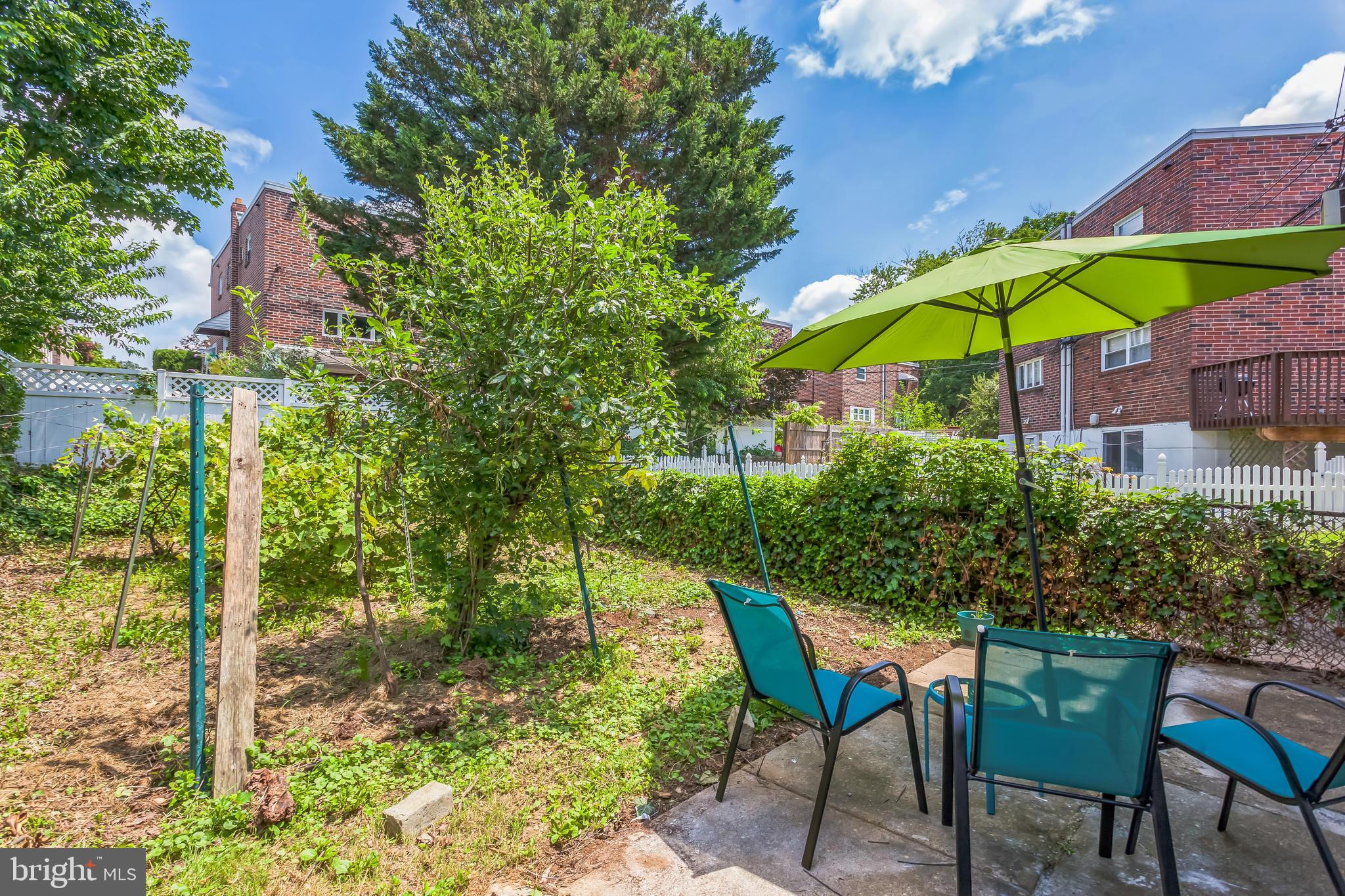 1125 Solly Avenue Philadelphia, PA 19111 - Photo 47 of 49 a view of a chair and table in the garden