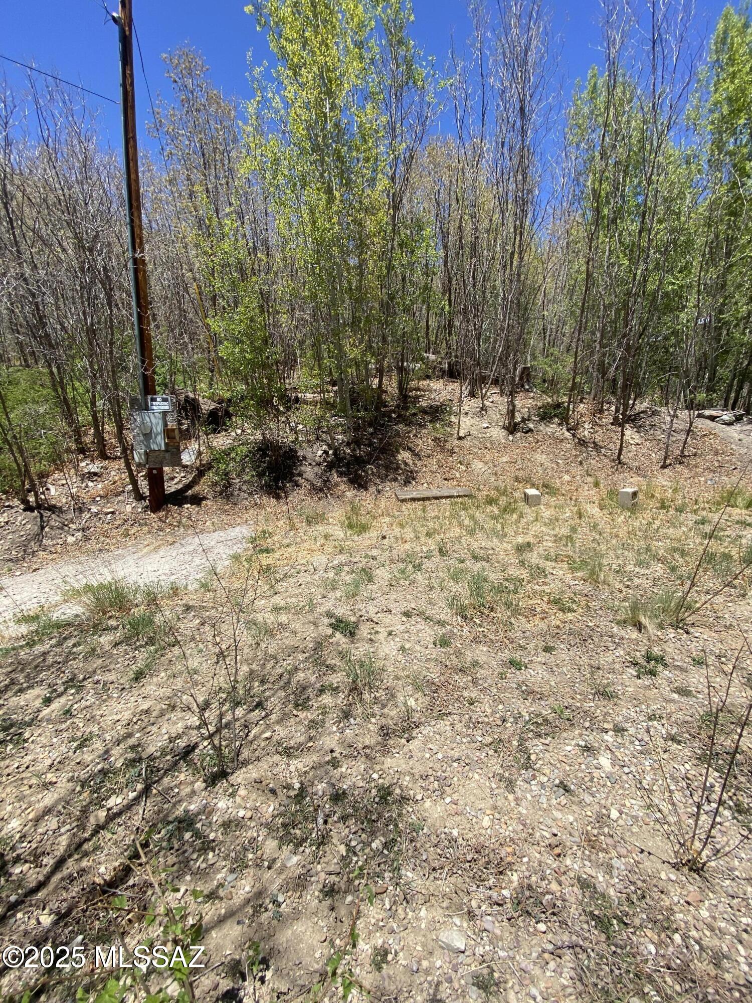 10991 East Carter Canyon Road, Unit 18 Mount Lemmon, AZ 85619 - Photo 6 of 8