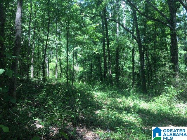 5001 Greathouse Road, Unit 1 Dora, AL 35062 - Photo 3 of 6