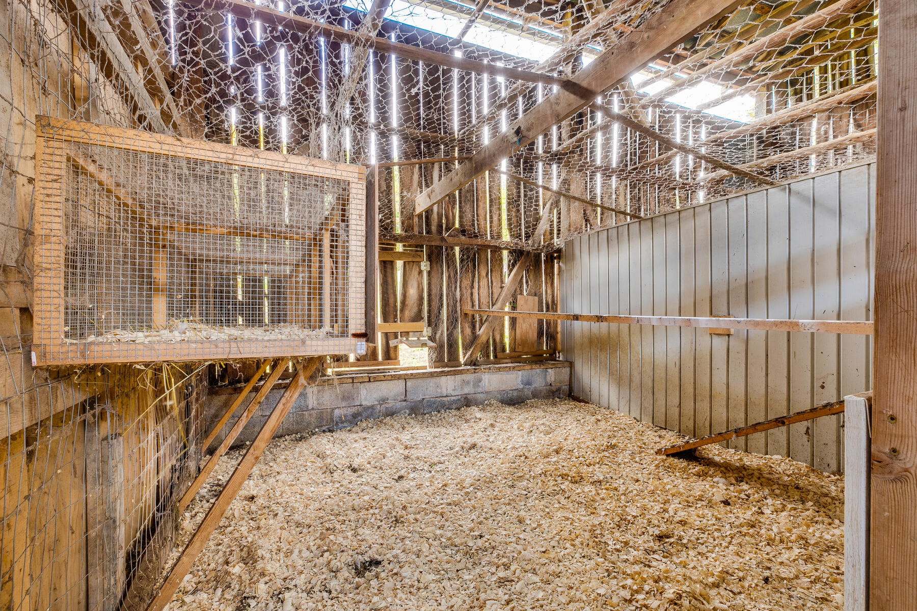 165 Jockey Road Chuckey, TN 37641 - Photo 49 of 69 Chicken coup