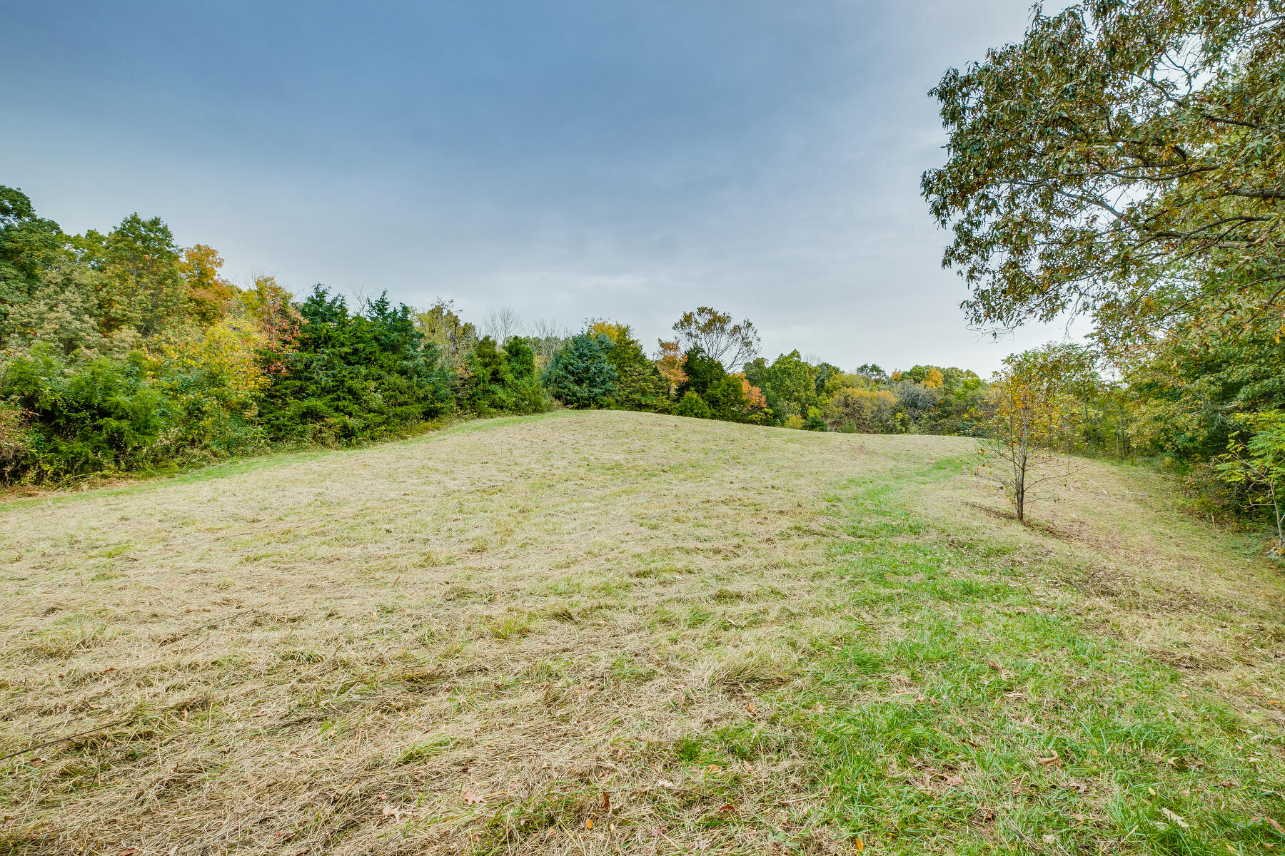 165 Jockey Road Chuckey, TN 37641 - Photo 52 of 69 Back field views