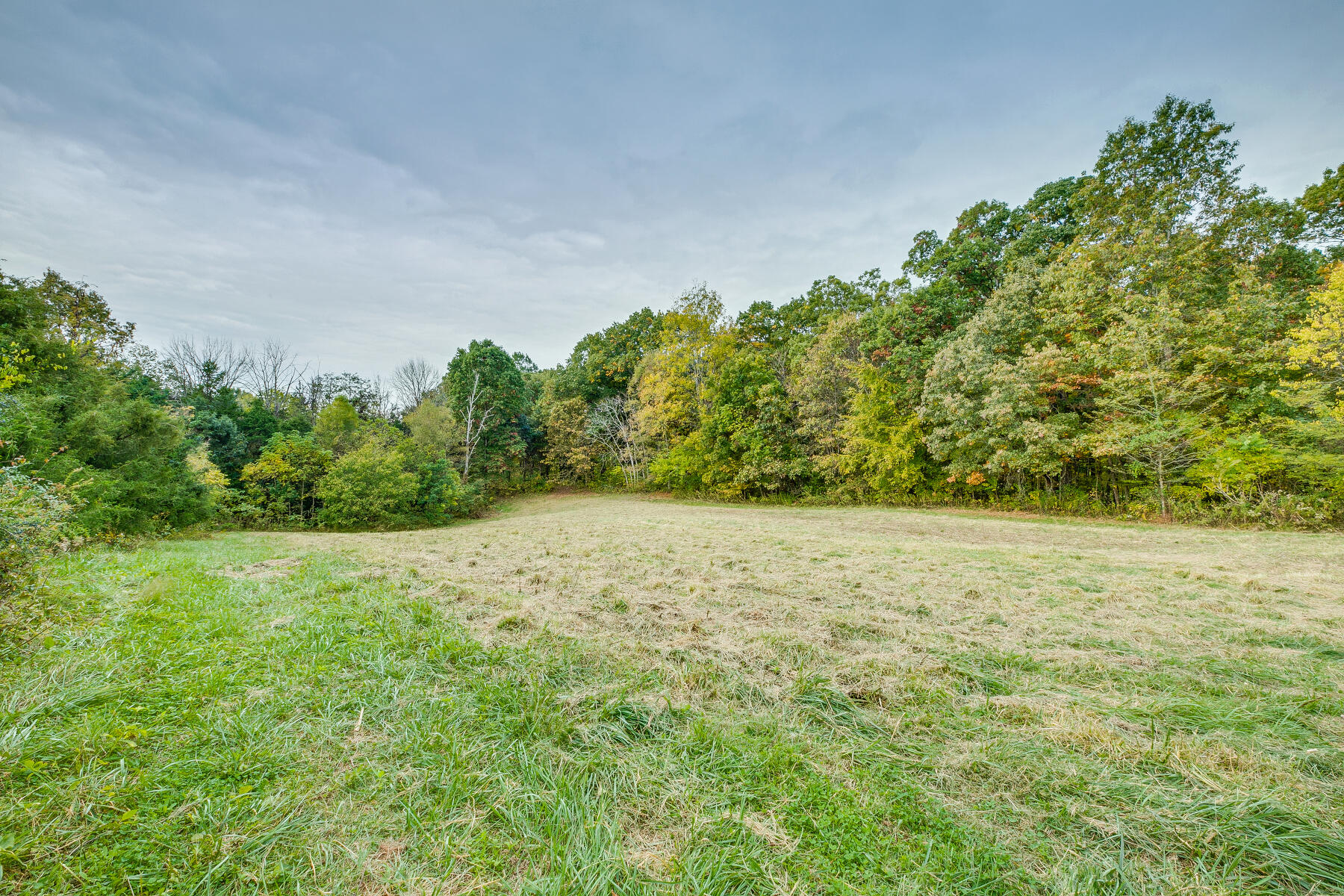 165 Jockey Road Chuckey, TN 37641 - Photo 53 of 69 Back field views