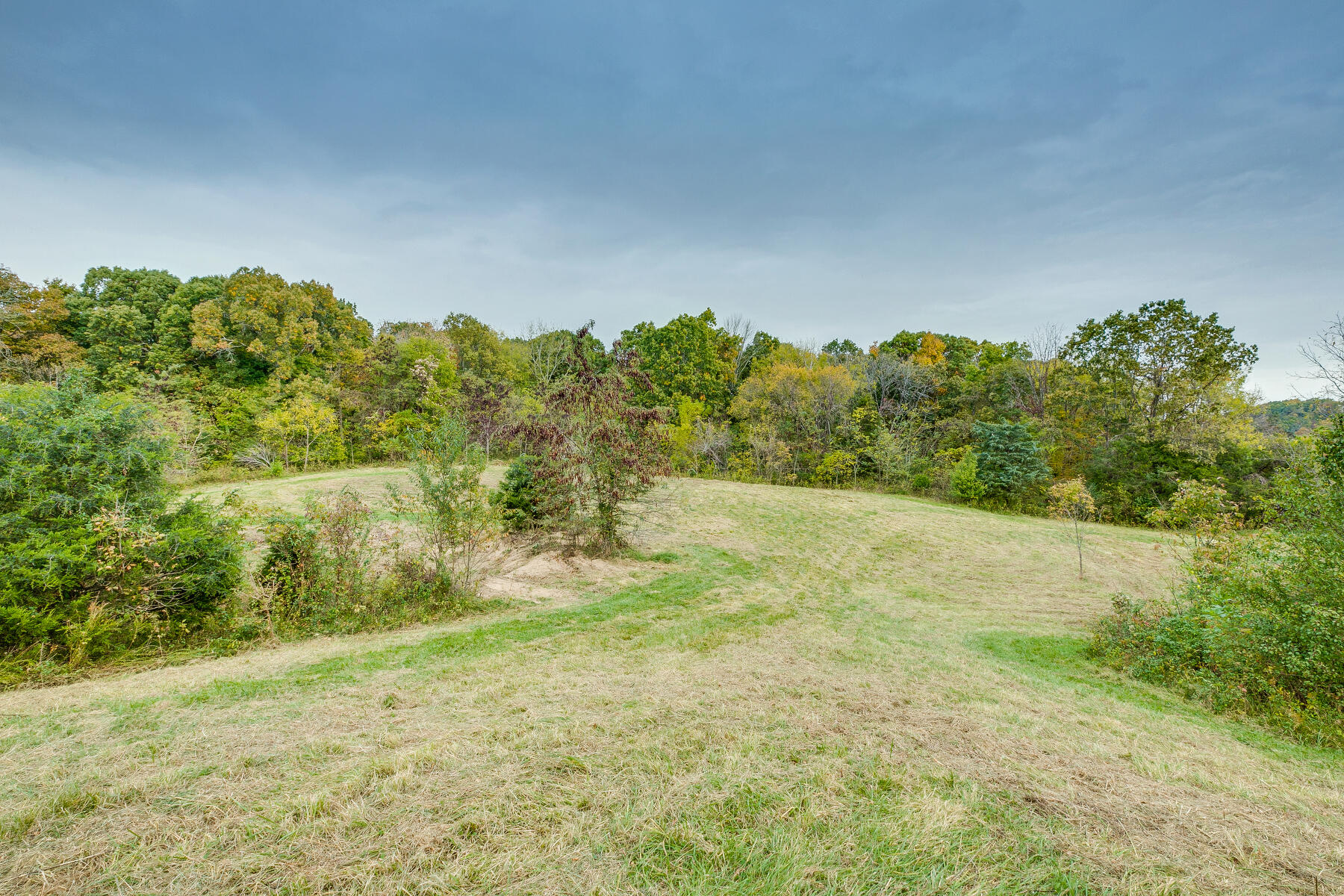 165 Jockey Road Chuckey, TN 37641 - Photo 54 of 69 Back field views