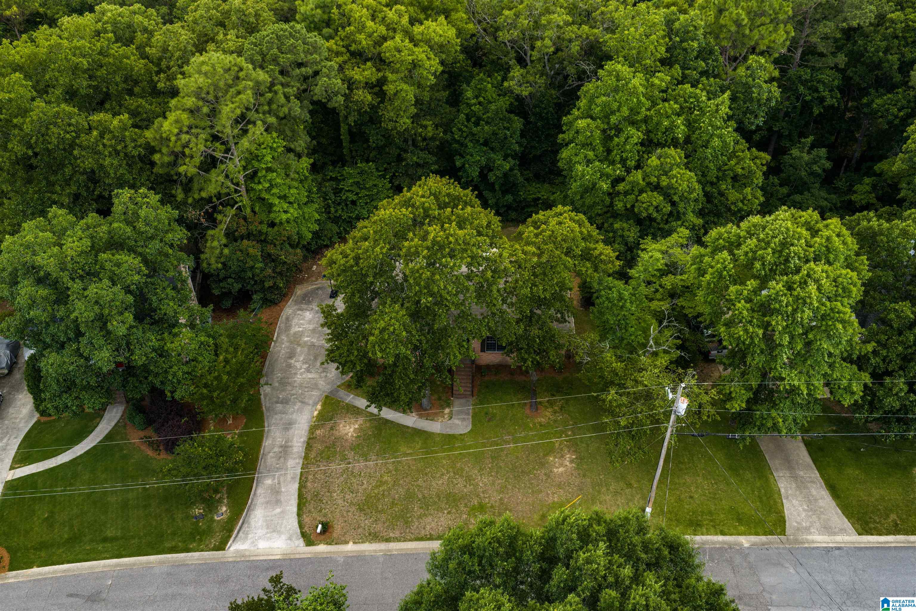 1209 Sequoia Trail Alabaster, AL 35007 - Photo 4 of 62