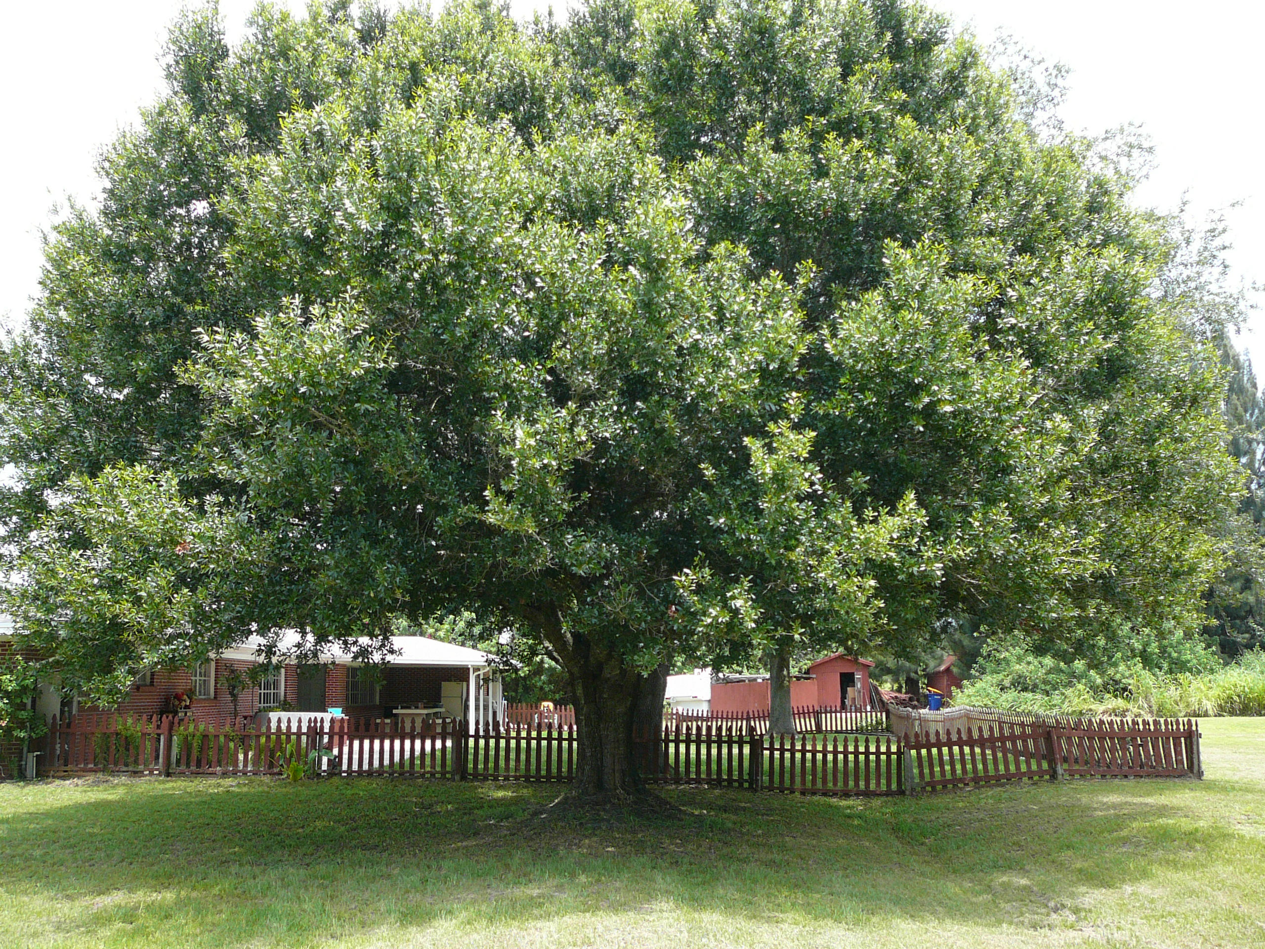 800 Hartman Road Fort Pierce, FL 34947 - Photo 23 of 58 P1050884