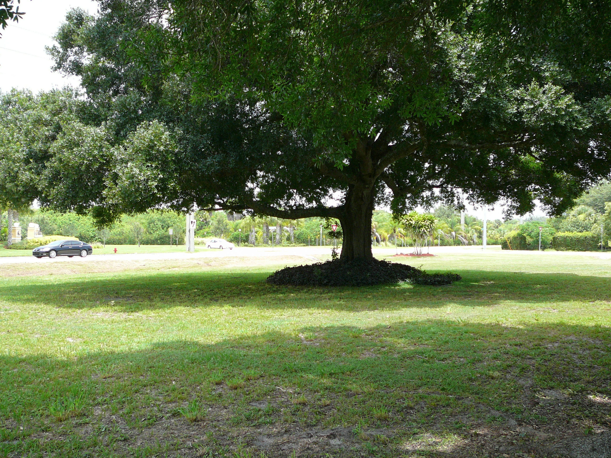 800 Hartman Road Fort Pierce, FL 34947 - Photo 44 of 58 P1050879