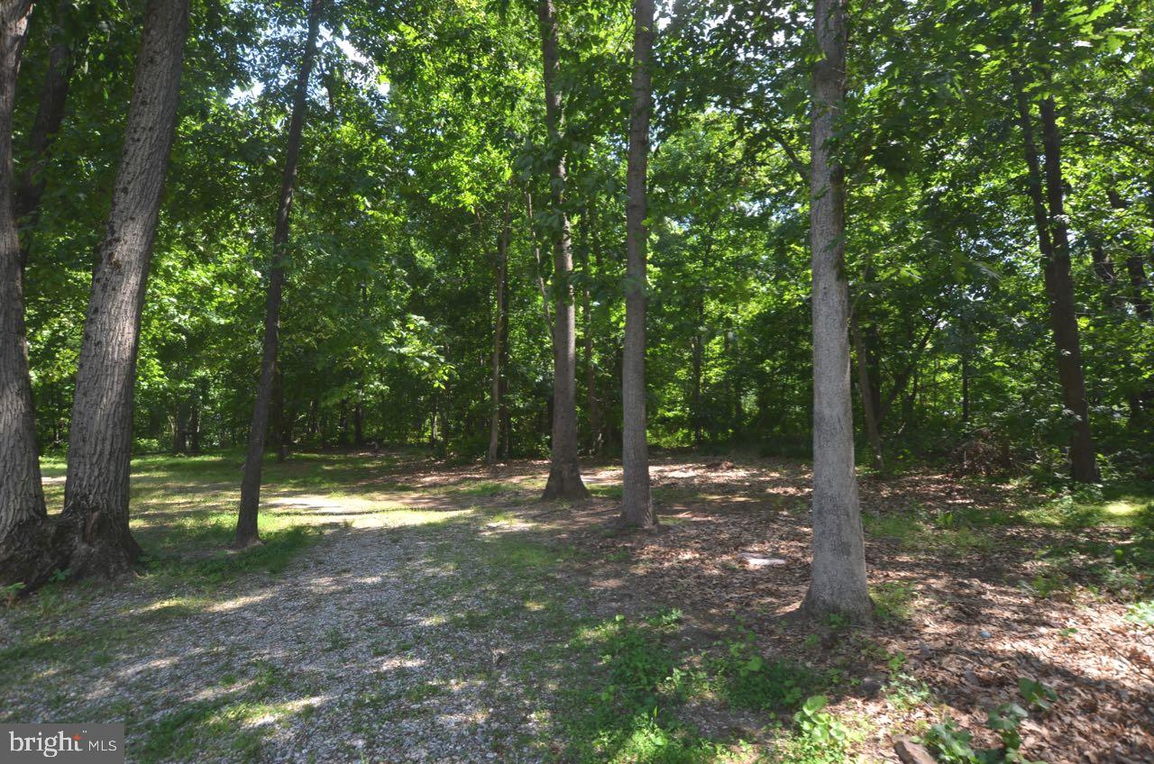 385 East Butter Road York, PA 17404 - Photo 14 of 31