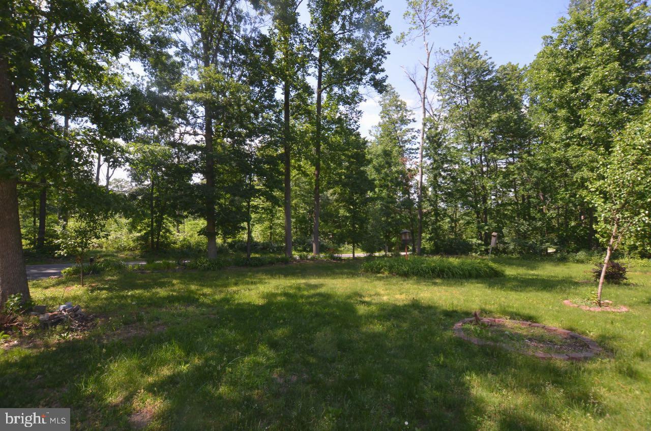 385 East Butter Road York, PA 17404 - Photo 7 of 31