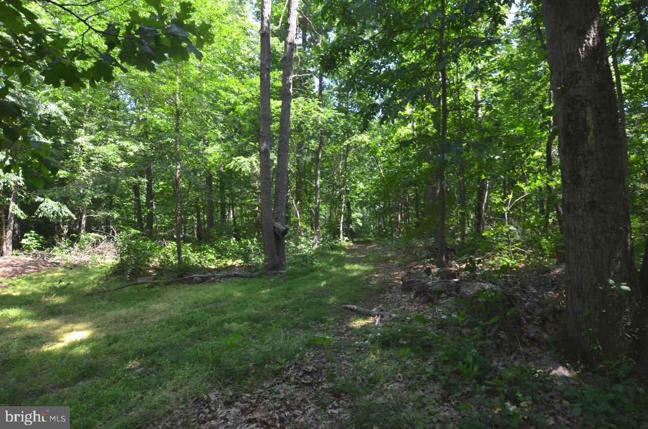 385 East Butter Road York, PA 17404 - Photo 9 of 31