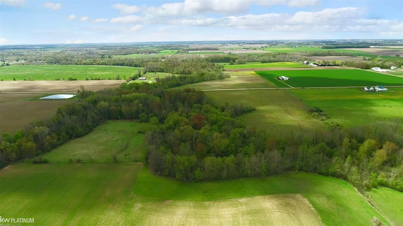 0 Rescue Road Owendale, MI 48754 - Photo 7 of 20