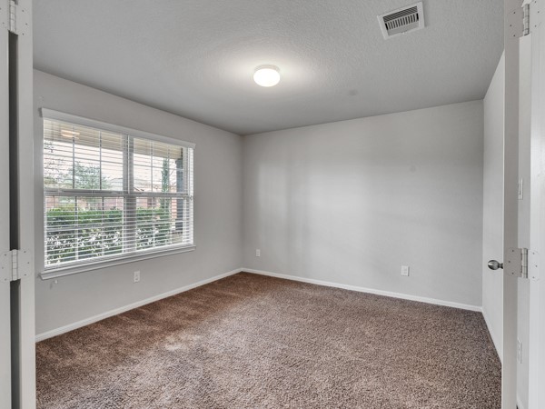 2939 Canadian Goose Lane Baytown, TX 77521 - Photo 29 of 44