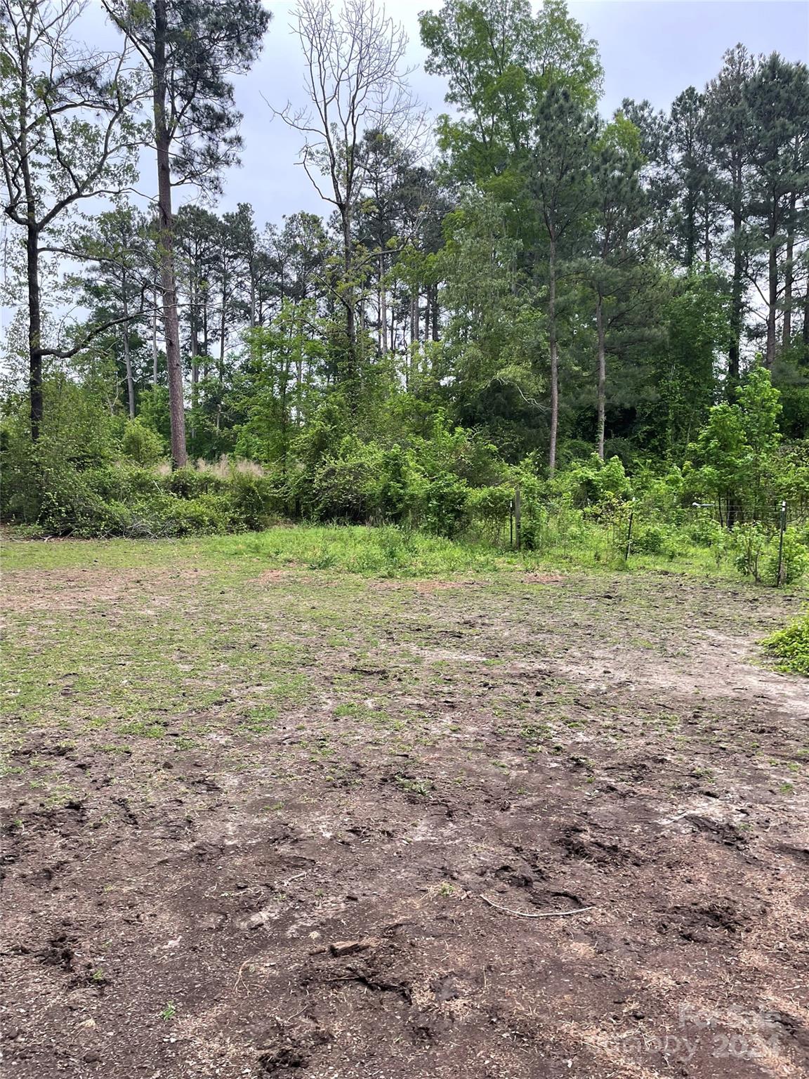 64 Deaton Street Ruby, SC 29741 - Photo 23 of 23 a view of a field with plants and trees