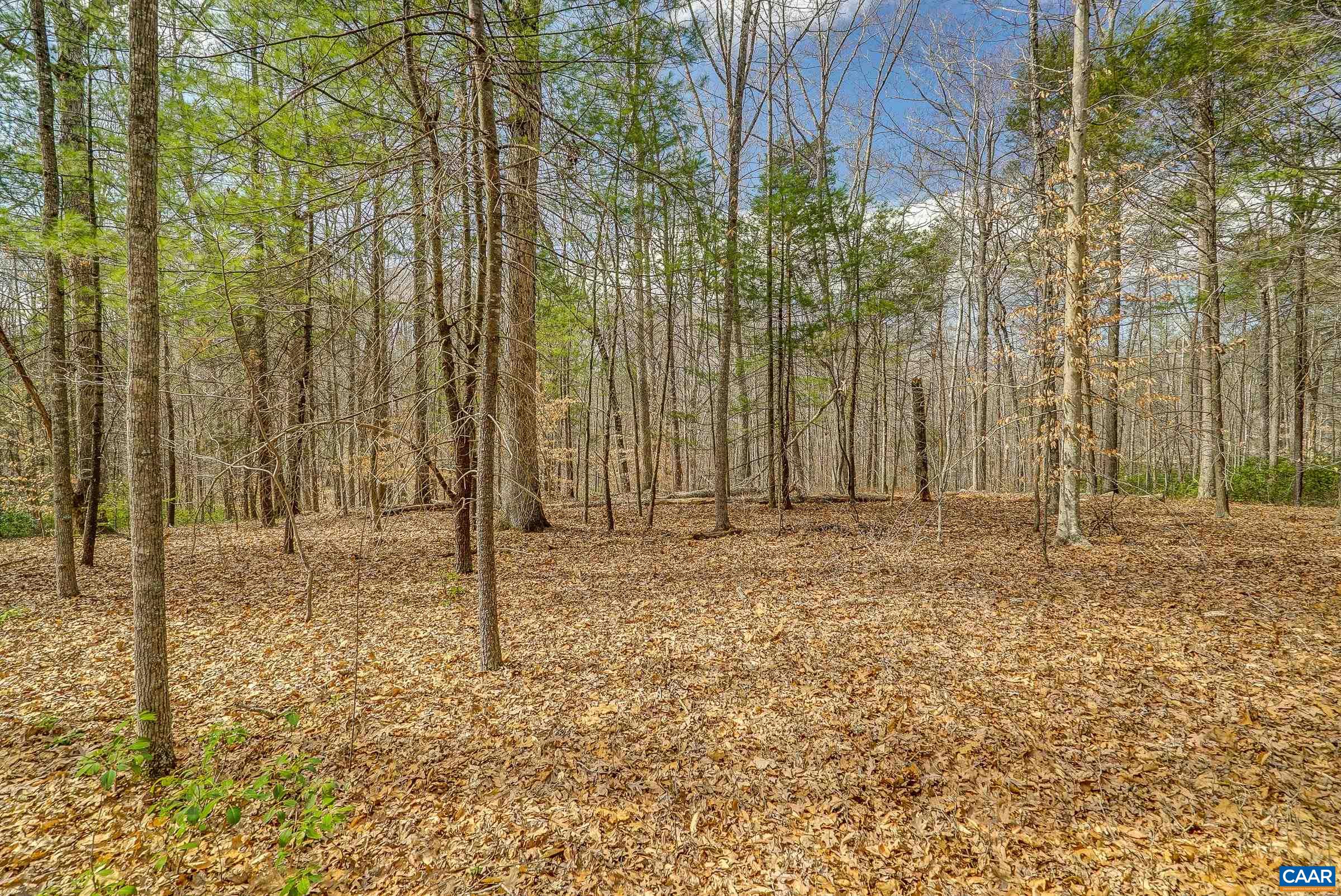 Durrett Ridge Road Ruckersville, VA 22968 - Photo 29 of 32 a view of a backyard of the house