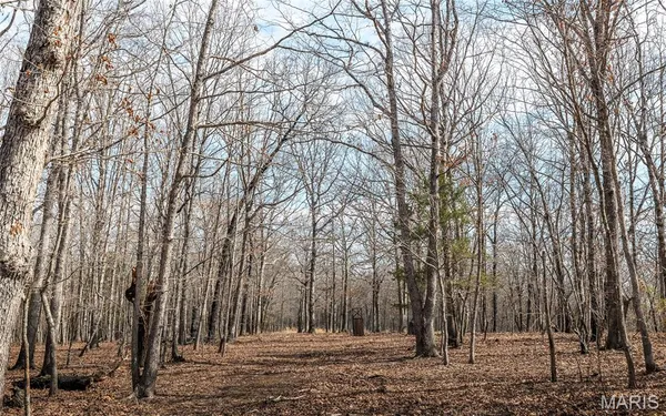 $1,250,000 | 21500 County Road 7670, Newburg, MO 65550