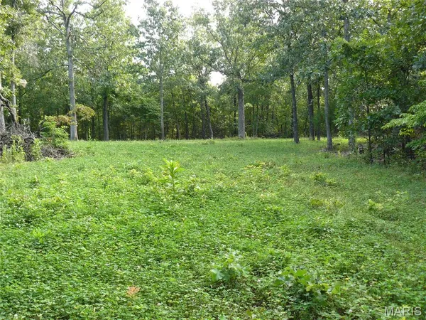 $1,250,000 | 21500 County Road 7670, Newburg, MO 65550