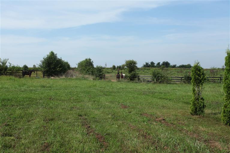 3850 Haley Road Lexington, KY 40516 - Photo 21 of 40 Photo 21