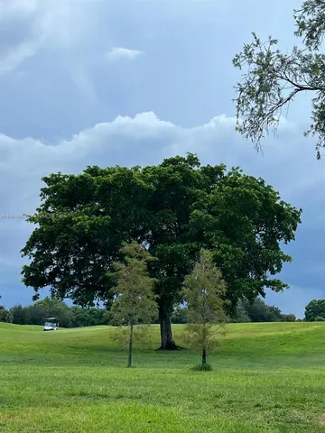 a view of a garden with a tree