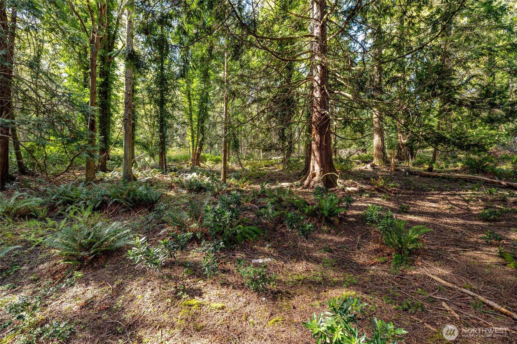 2601 17th Street Anacortes, WA 98221 - Photo 37 of 37