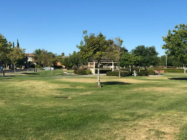 a garden with palm trees